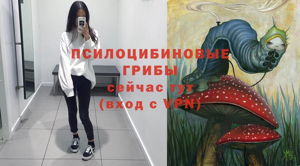 эйфоретик Армянск